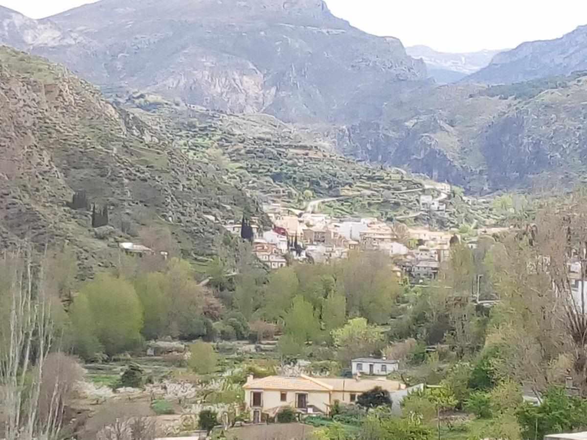 Casa Rural Las Huertas De Roque โมนาชิล ภายนอก รูปภาพ