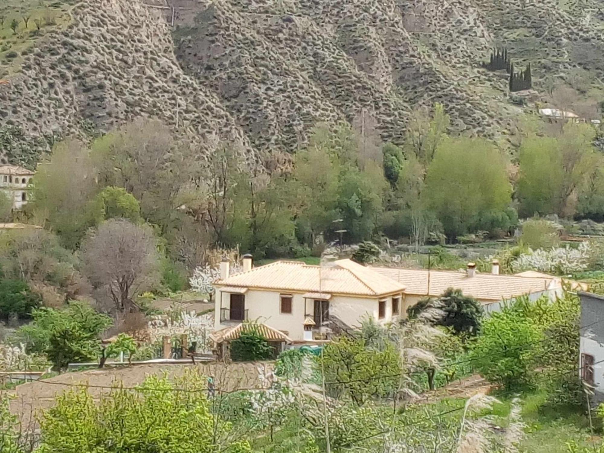 Casa Rural Las Huertas De Roque โมนาชิล ห้อง รูปภาพ