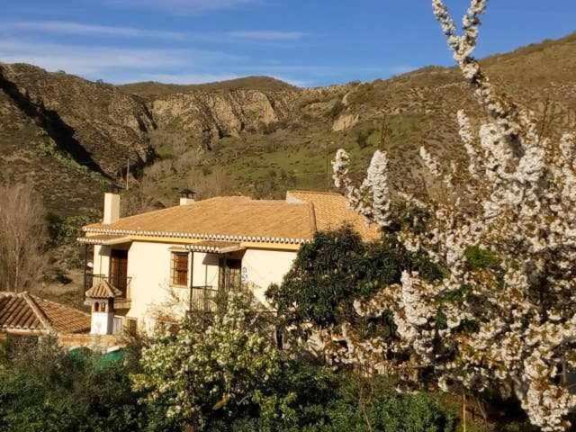 Casa Rural Las Huertas De Roque โมนาชิล ห้อง รูปภาพ
