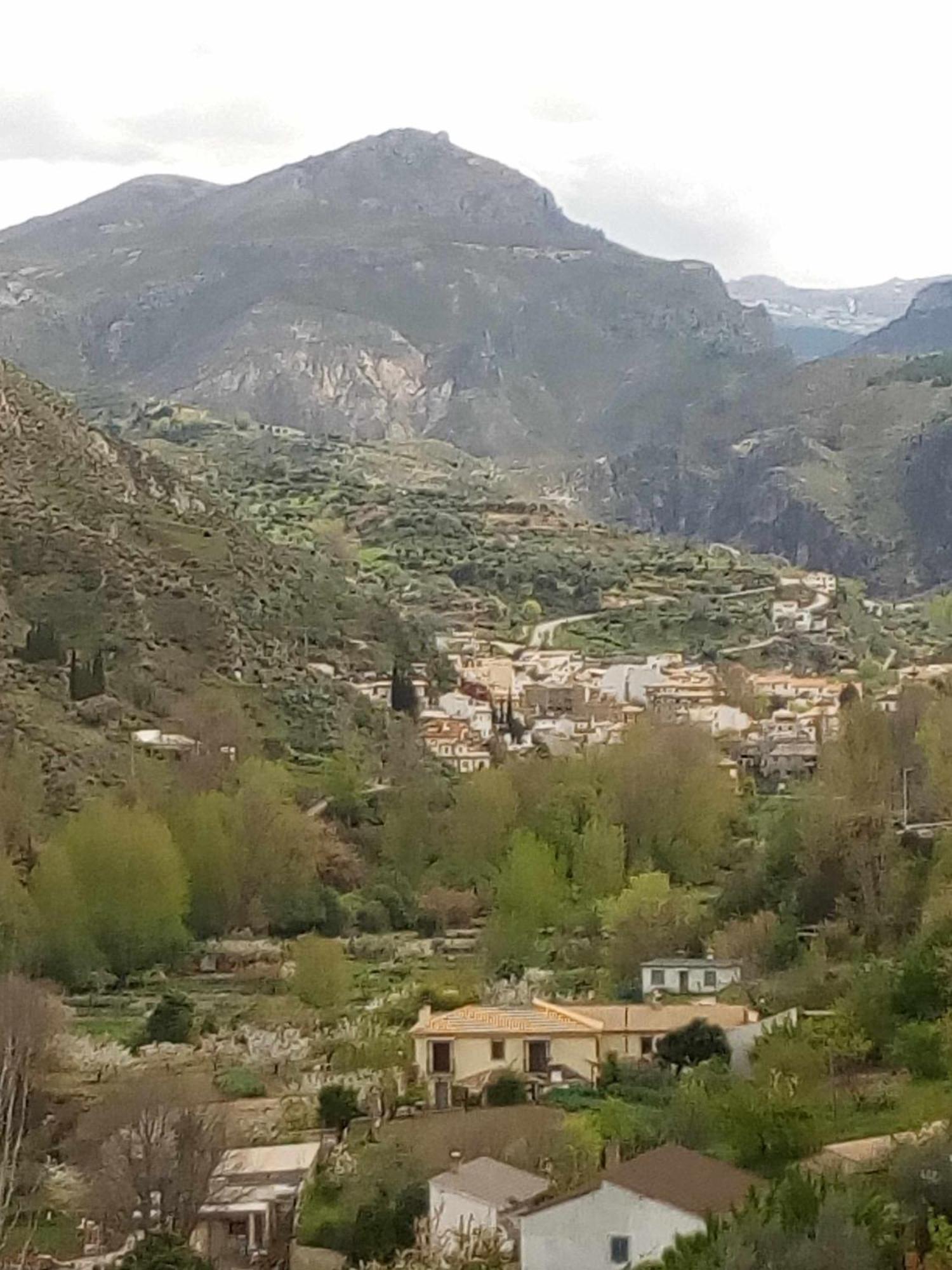 Casa Rural Las Huertas De Roque โมนาชิล ห้อง รูปภาพ