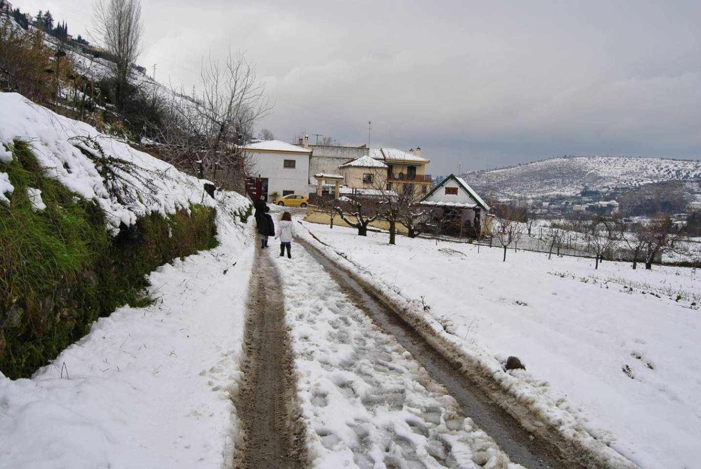 Casa Rural Las Huertas De Roque โมนาชิล ห้อง รูปภาพ