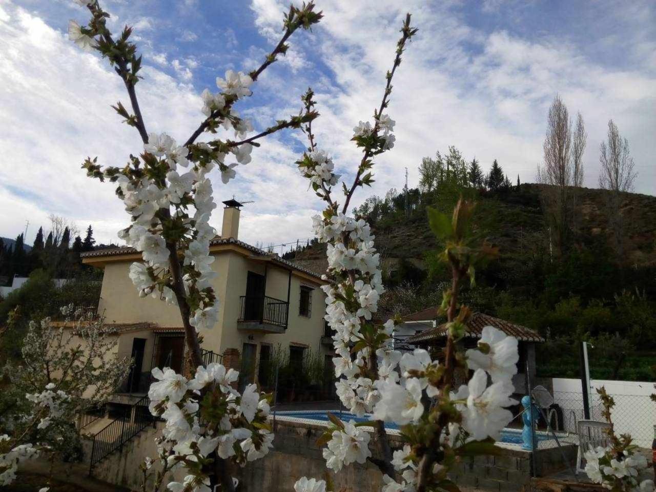 Casa Rural Las Huertas De Roque โมนาชิล ห้อง รูปภาพ