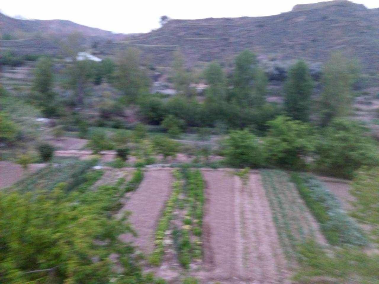 Casa Rural Las Huertas De Roque โมนาชิล ห้อง รูปภาพ