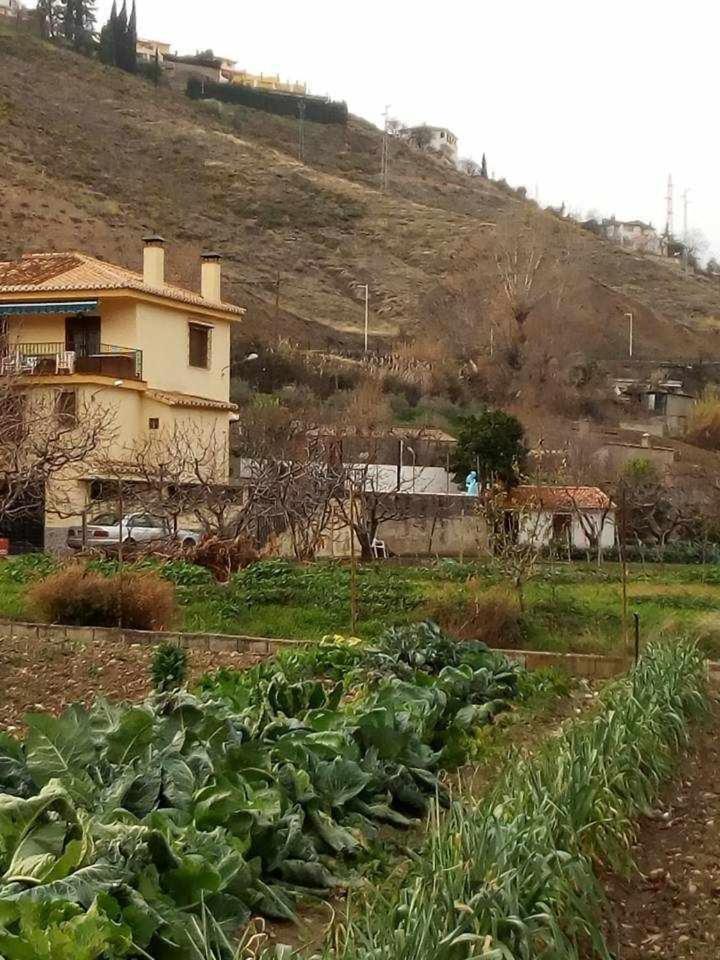 Casa Rural Las Huertas De Roque โมนาชิล ห้อง รูปภาพ